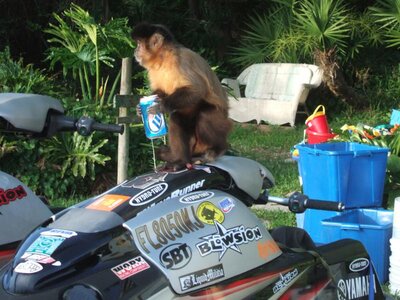 2005_0314jetskimanny0072.jpg