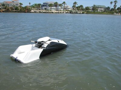 IMG_8517.jpg