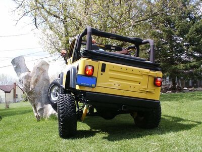 jeeptree3.JPG