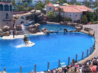 seaworld.jpg