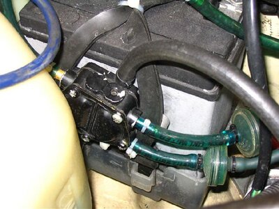 IMG_1547.jpg