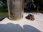 strainer debri 2.jpg