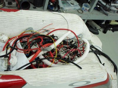 P5290032 (Large).jpg