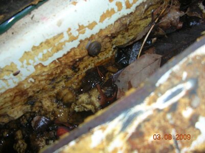 DSCN5047.jpg