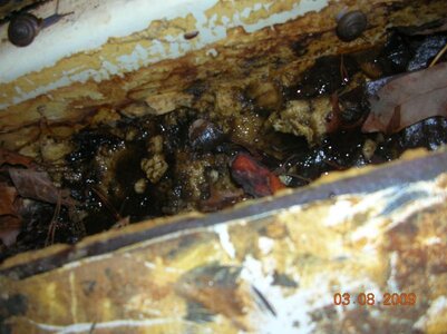 DSCN5048.jpg