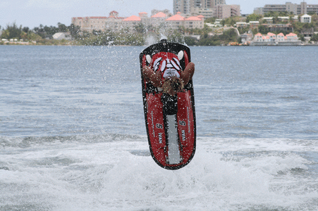 L5.gif