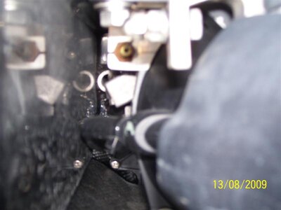 100_0825 (Medium).JPG