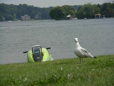 DSCN7174.jpg