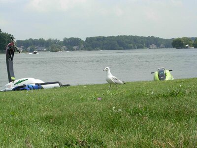 DSCN7175.jpg
