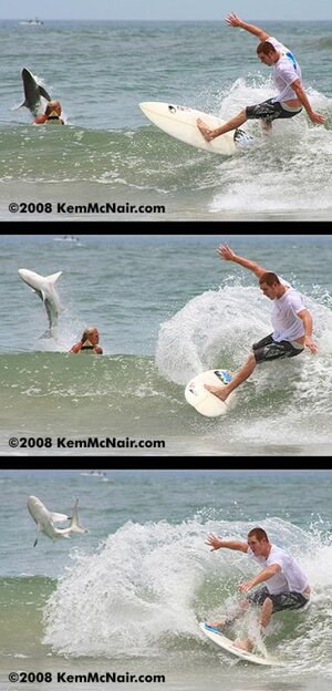 press-mcnair-shark-sequence.jpg