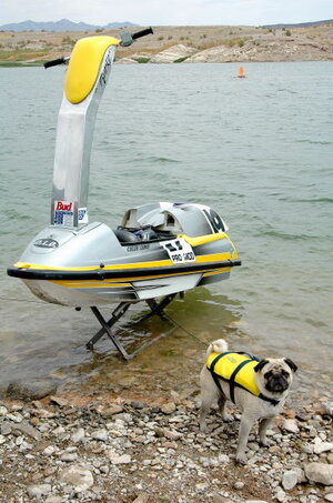 image0010.jpg