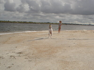 DSC01228.JPG