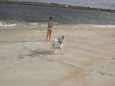 DSC01230.JPG