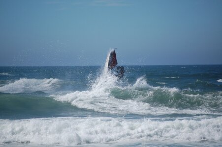 DSC_3493.3JPG.JPG
