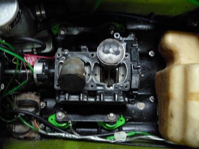 P1000613s.jpg