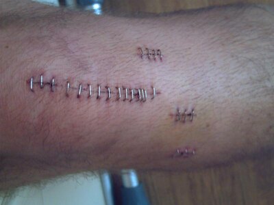 PICT0008 (Medium).JPG