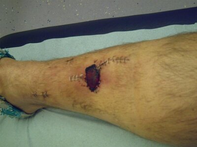 PICT0012 (Medium).JPG