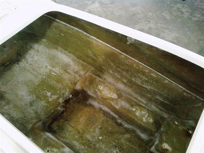 1123092036-00 (Medium).jpg