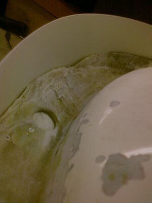 Nose Repair Wall.jpg