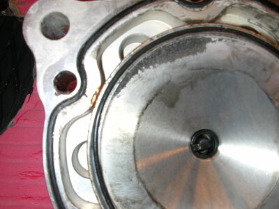 Dscn0487.jpg