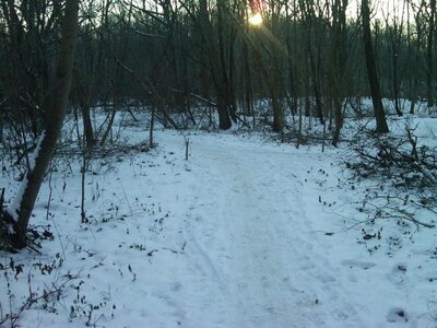 IMG00008-20100110-1655.jpg
