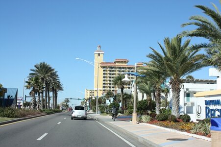 IMG_0354c1.JPG
