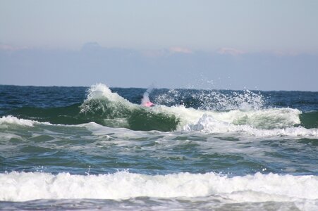 IMG_0419c1.JPG