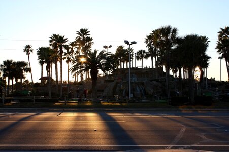 IMG_0654c1.JPG