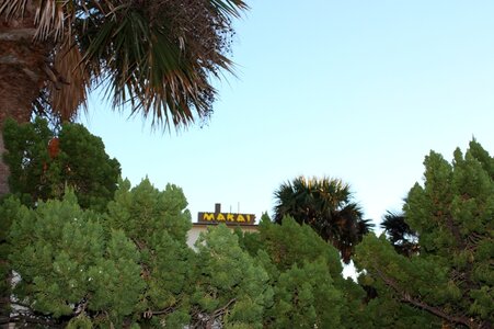 IMG_0655c1.JPG