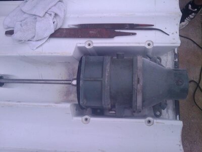 2010-01-28-17.16.15_8.0_2.0_8.0.jpg