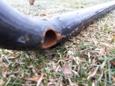 my  daytona dolly 005.jpg