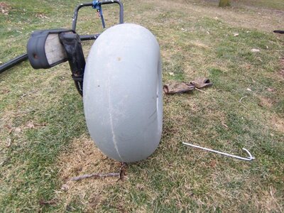 my  daytona dolly 008.jpg