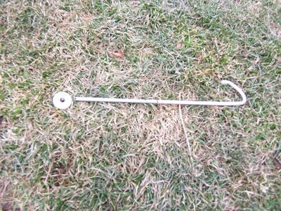 my  daytona dolly 009.jpg