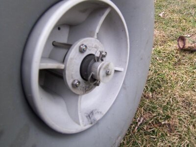 my  daytona dolly 010.jpg