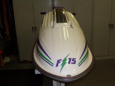 F-15 Laser Jet 2-12-10 017.jpg