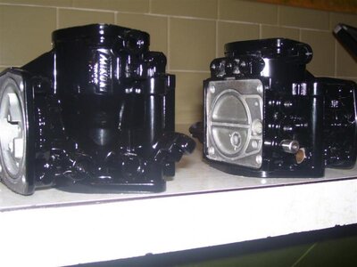 100_1201 (Large).jpg