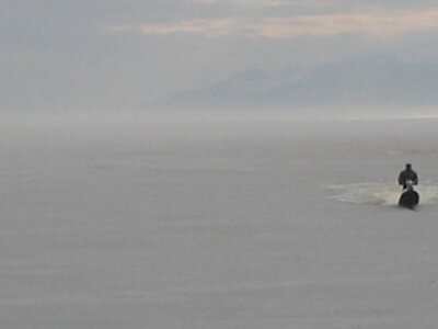 IMG_0377_1.JPG