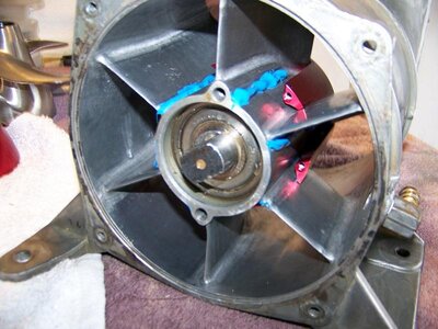 p3.jpg