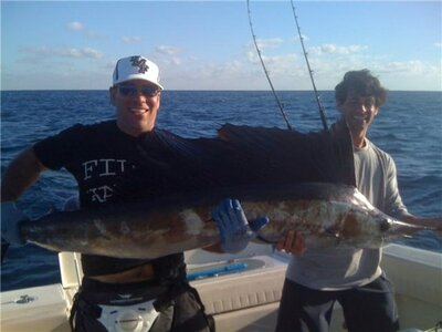 sailfish.jpg
