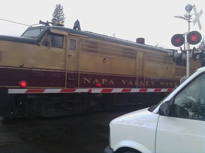 napa vine train.jpg