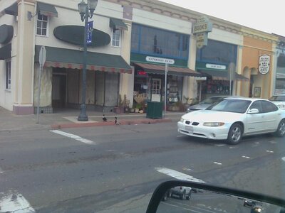 ducks in downtown lakeport.jpg