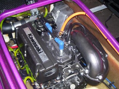 100_1260 (Large).jpg