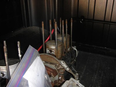 20100506_5.jpg