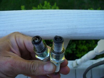 smoked plug 001.jpg