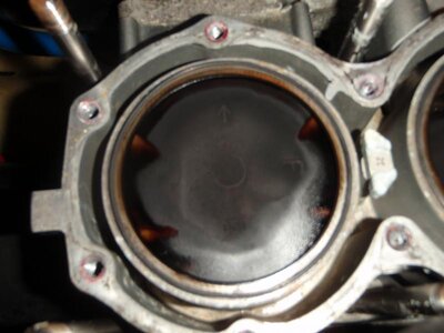 New Chicken and cylinder 031.jpg