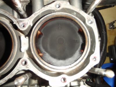 New Chicken and cylinder 033.jpg
