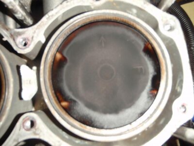 New Chicken and cylinder 032.jpg