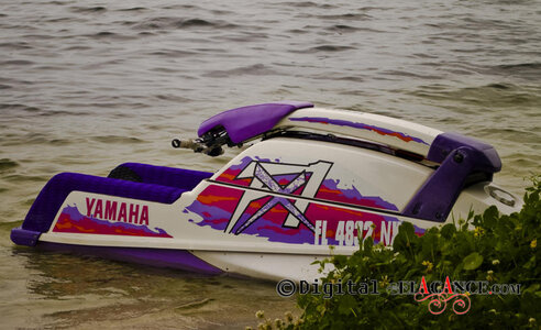 DSC_4686.jpg