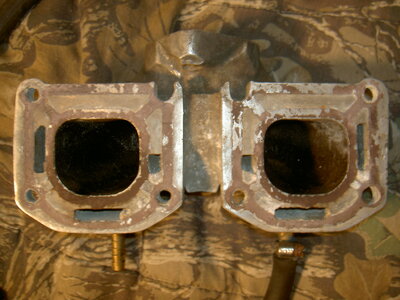 PICT2177.JPG