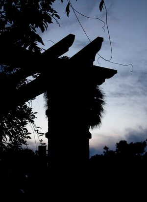 IMG_1487c1.JPG